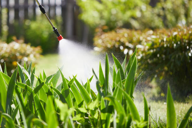 24/7 Emergency Ant Control experts in Buckhorn, CA